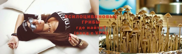 кокс Лабытнанги