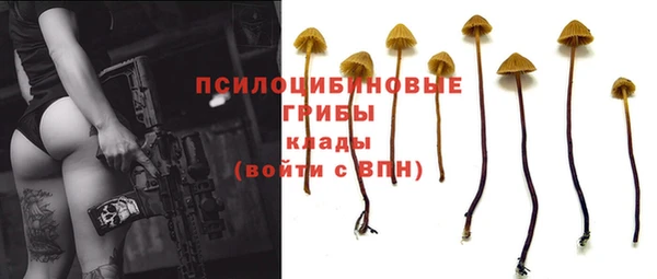 меф Ладушкин